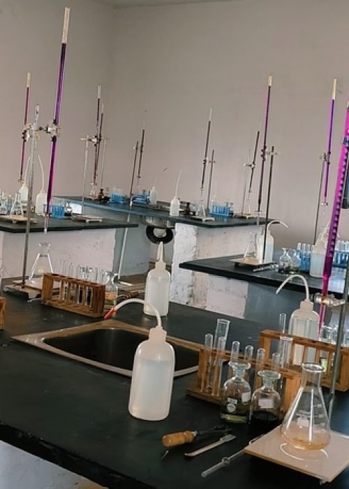 lab